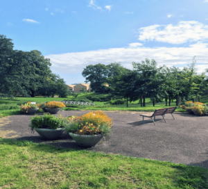 Vennelyst parken sensommer