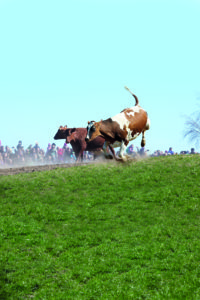 Økodag 2018