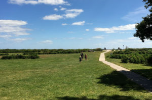 Grønt område ved bellevue strand