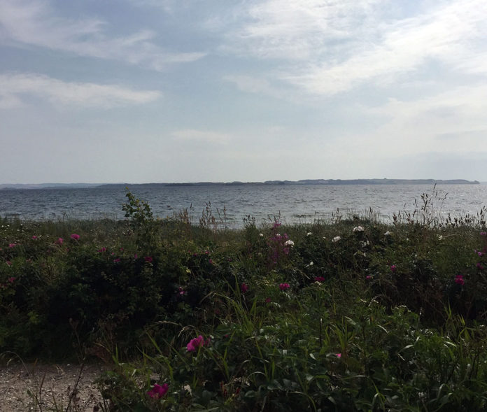 Åkrogen strand i Risskov