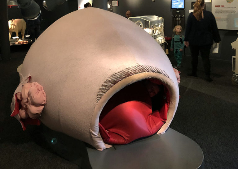 Seksualundervisning på Steno Museet