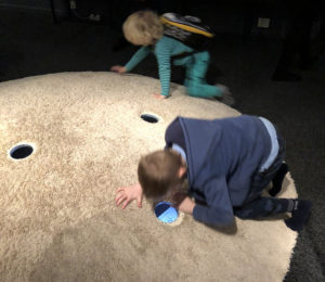Seksualundervisning på Steno Museet 2018