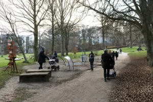 Riis skov legeplads