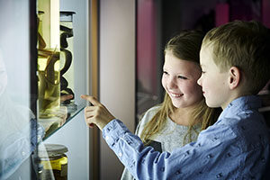 Naturhistorisk-museum-Aarhus