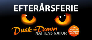 Efterårsferie_2020_Naturhistorisk_museum_Aarhus