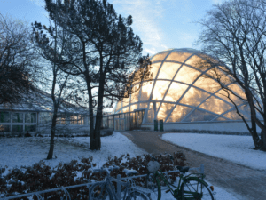Væksthusene Aarhus vinteren 2025