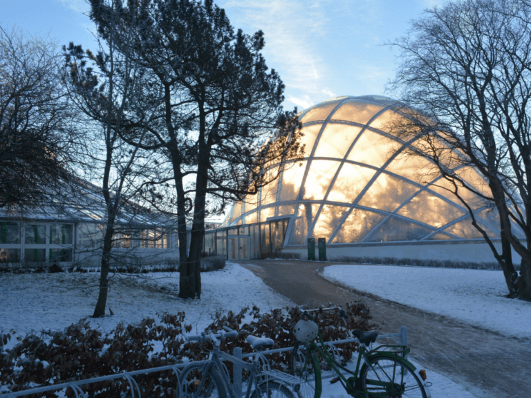 Væksthusene Aarhus vinteren 2025