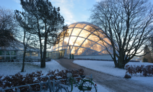 Væksthuset Aarhus vintet