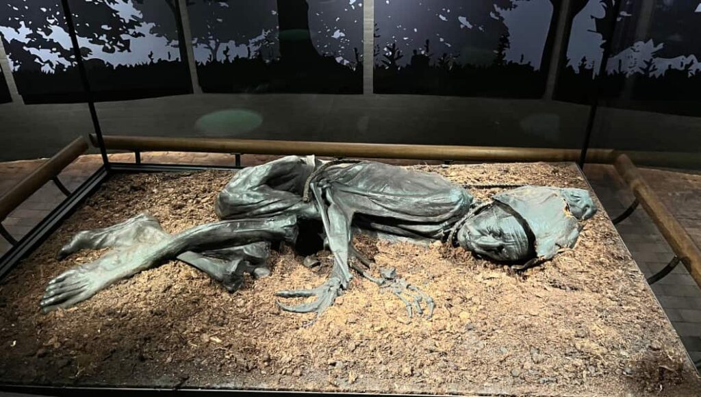 Tollundmanden i Silkeborg sommeren 2025