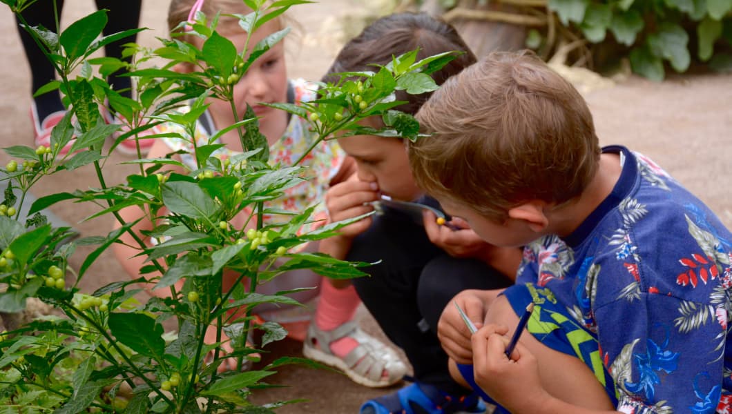 Børn i væksthusene i botaniskhave